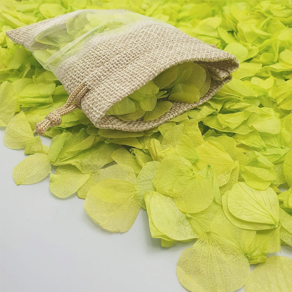 Vibrant Green Hydrangea Petals - Confetti Bee