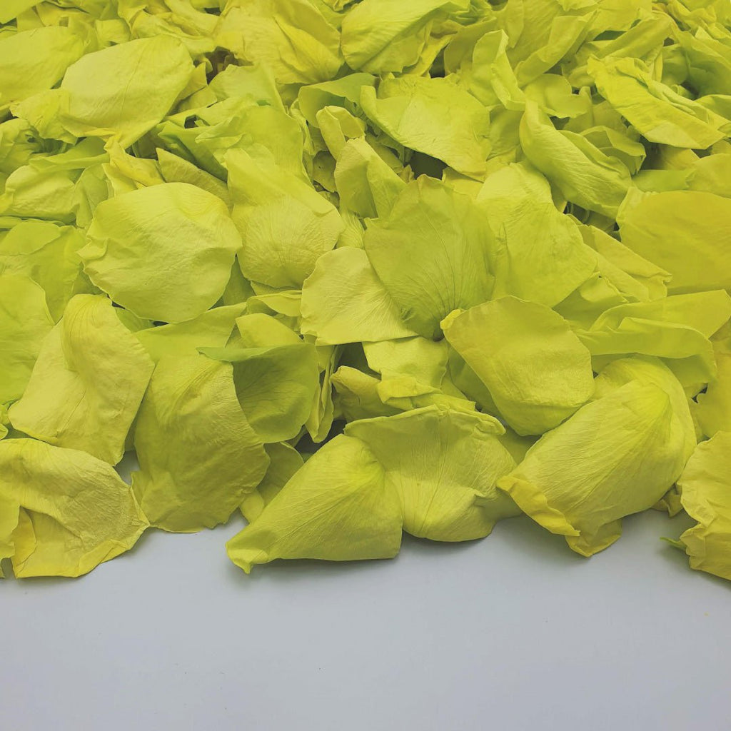 Vibrant Green Rose Petals - Confetti Bee