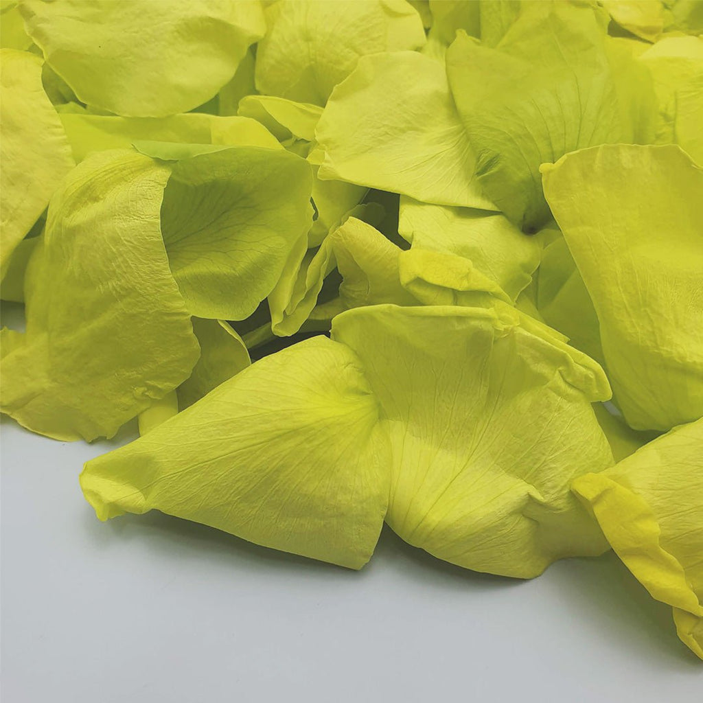 Vibrant Green Rose Petals - Confetti Bee