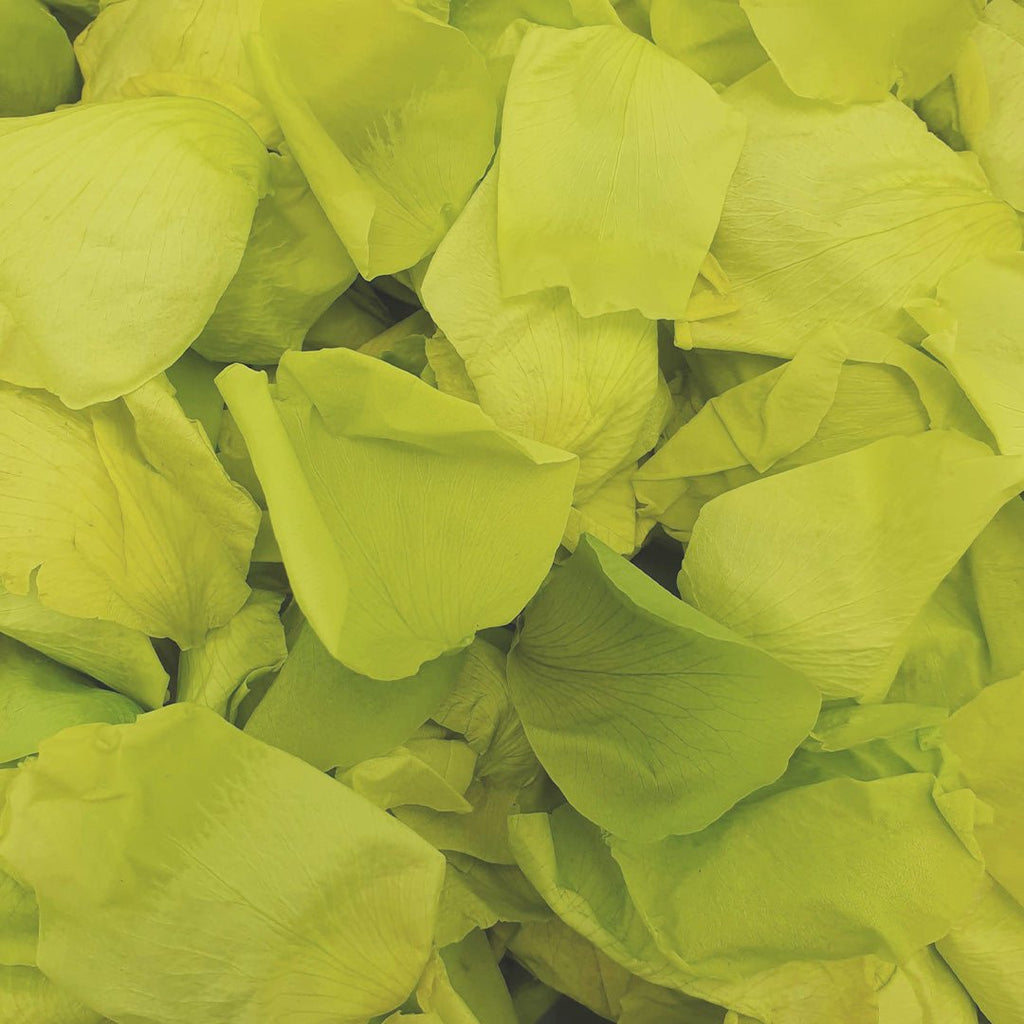 Yellow Green Rose Petals - Confetti Bee