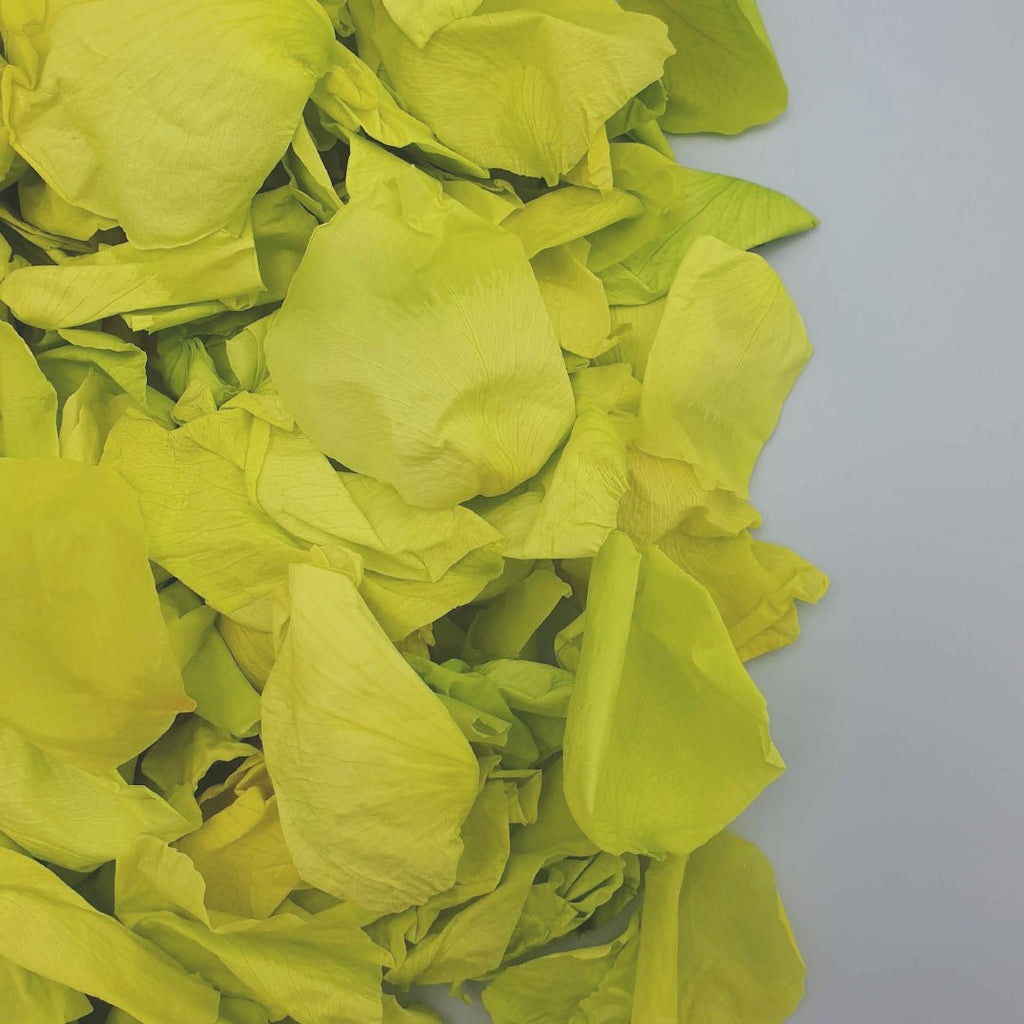 Yellow Green Rose Petals - Confetti Bee