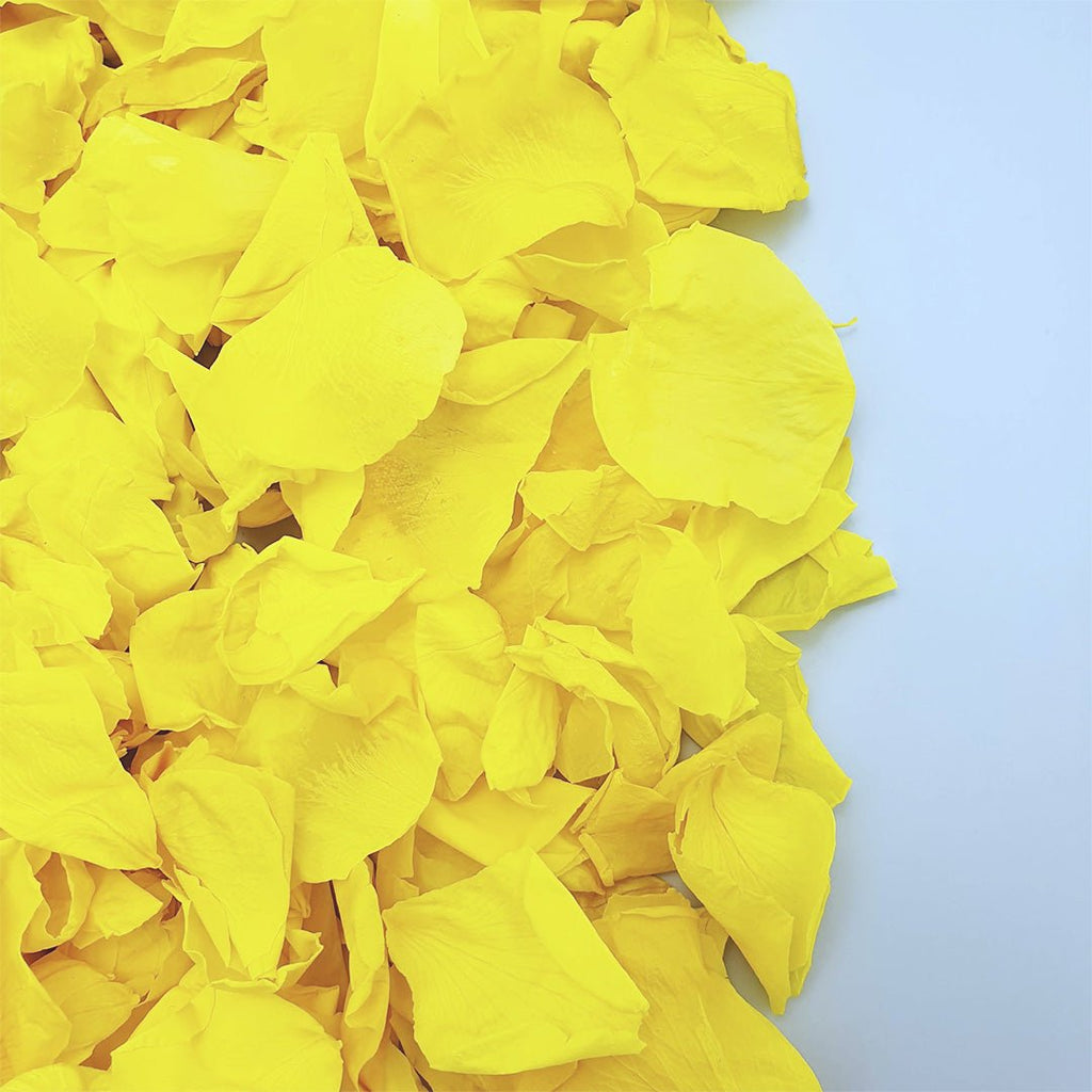 Yellow Rose Petals - Confetti Bee