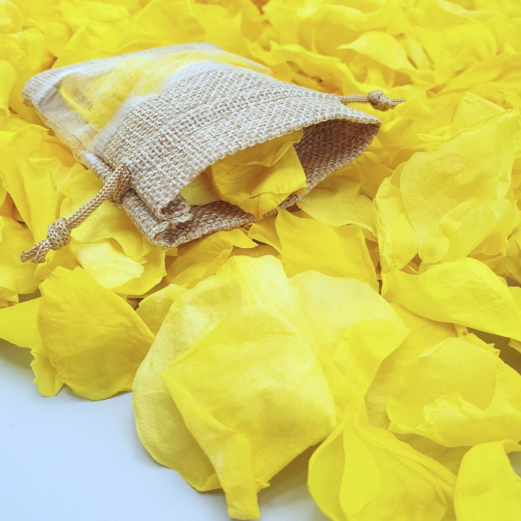 Yellow Rose Petals - Confetti Bee