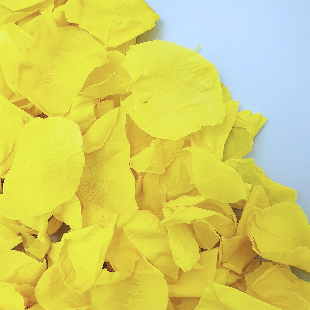 Yellow Rose Petals - Confetti Bee