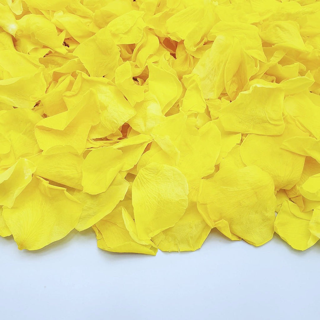 Yellow Rose Petals - Confetti Bee