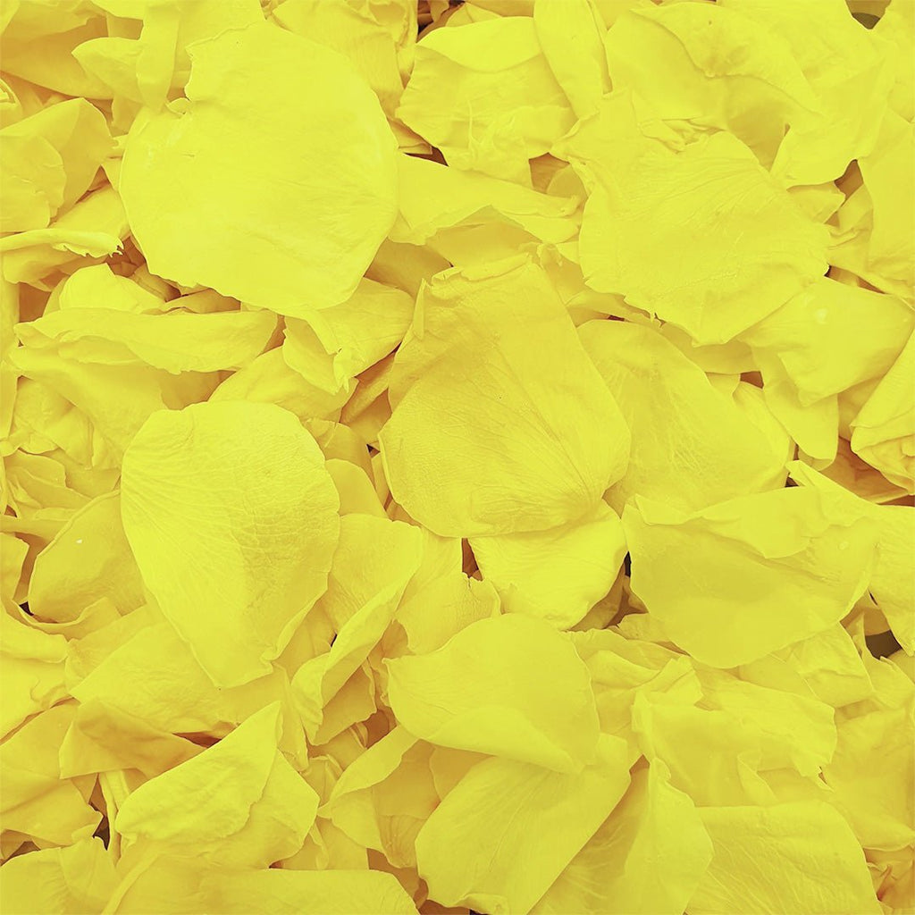 Yellow Rose Petals - Confetti Bee