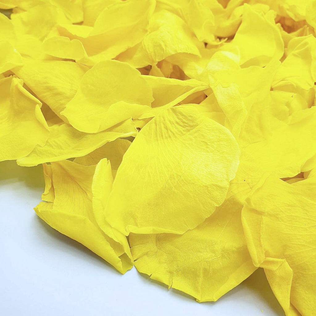 Yellow Rose Petals - Confetti Bee