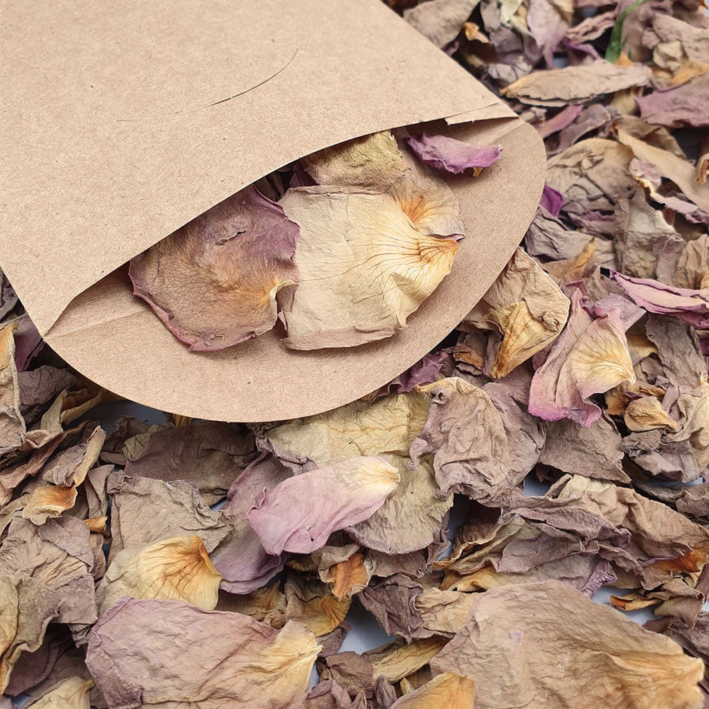 Blush Grey Rose Petals - Confetti Bee