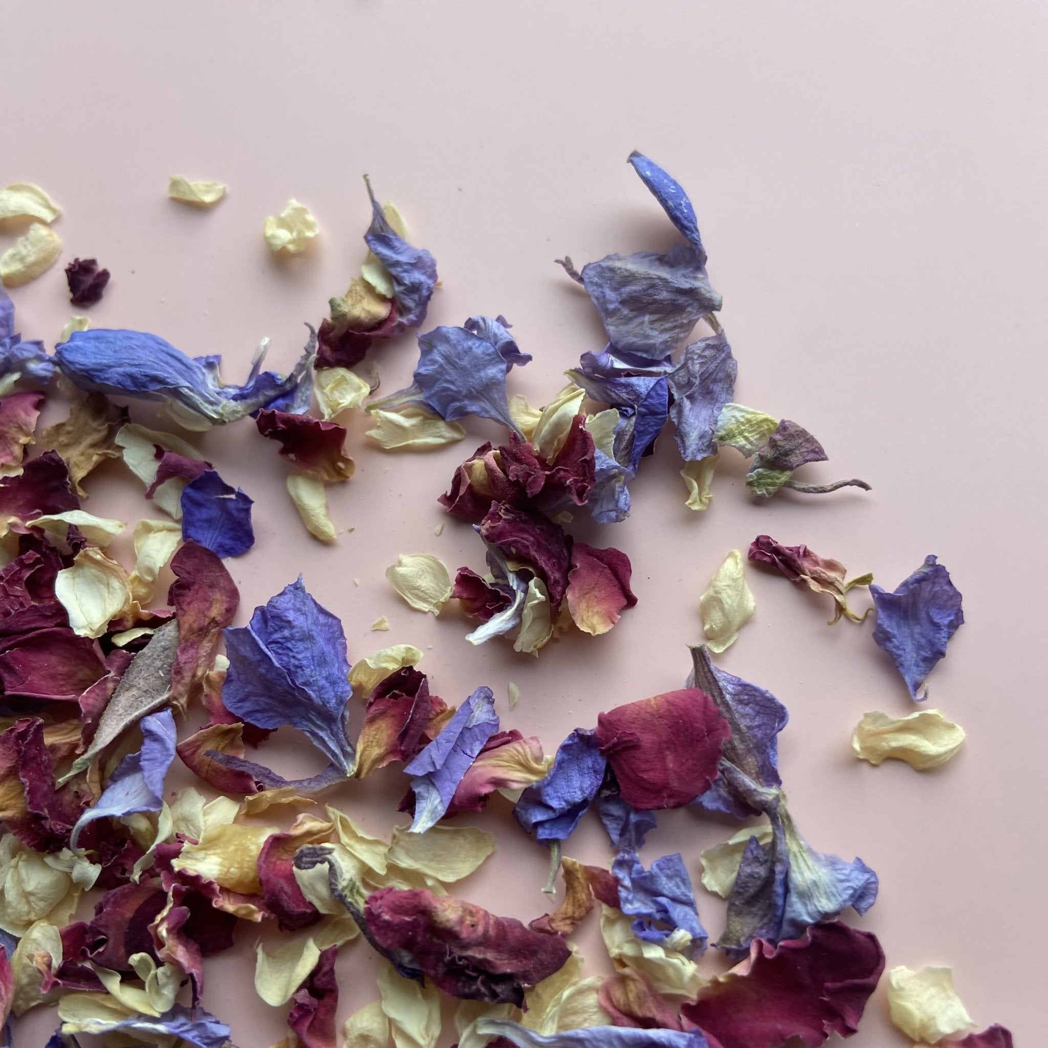 Lilac Whisper Confetti | Petal Wedding Confetti | Confetti Bee