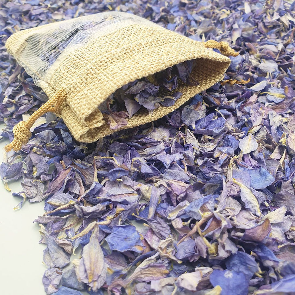 Purple Delphinium Petal Confetti - Confetti Bee